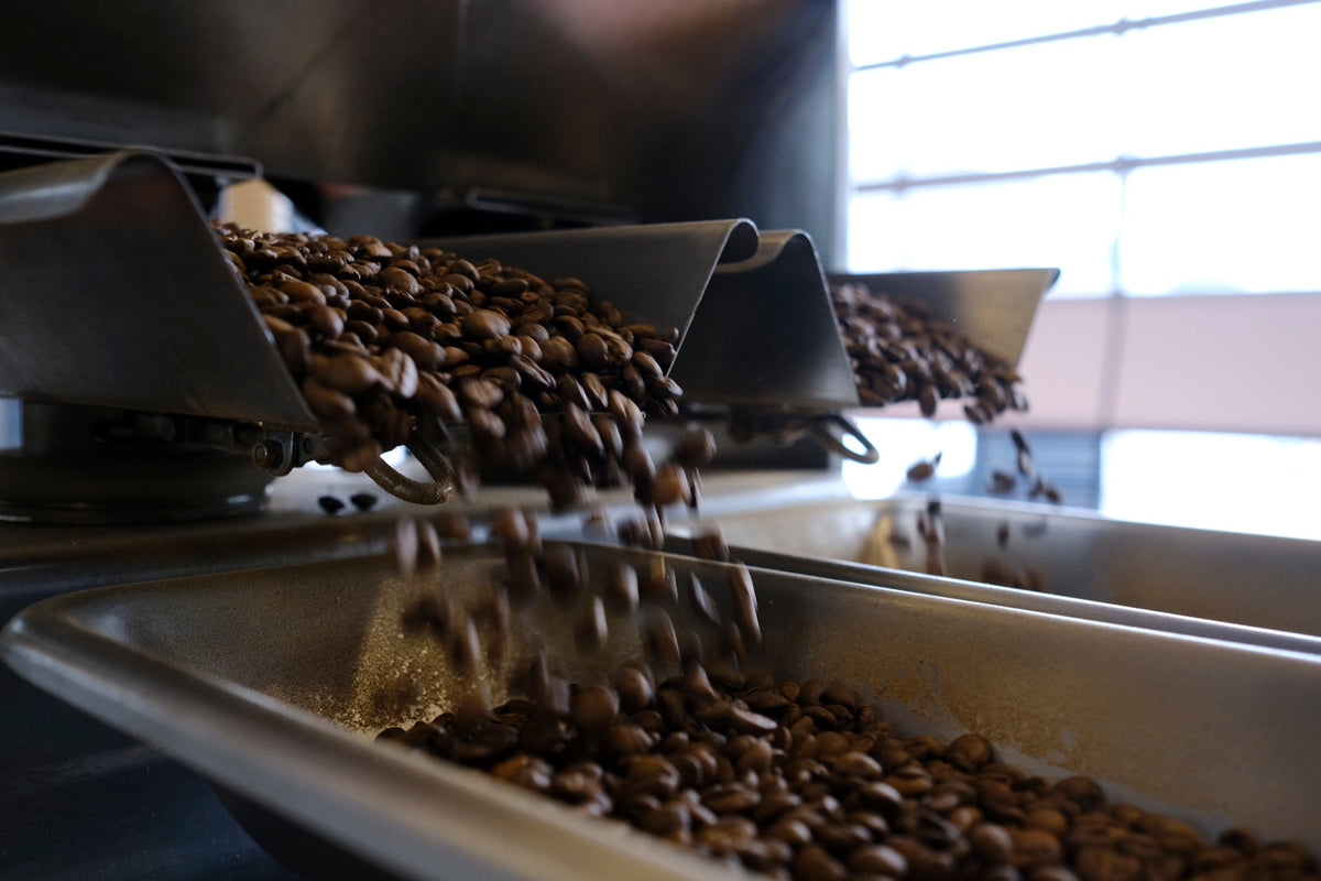 Hvad er Arabica bønner?