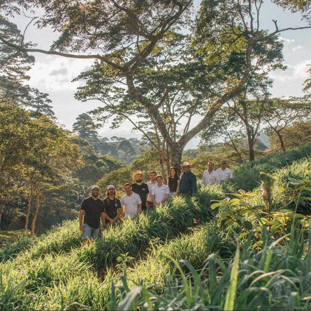 Colombiansk kaffe: Sådan smager den, og derfor holder vi af den