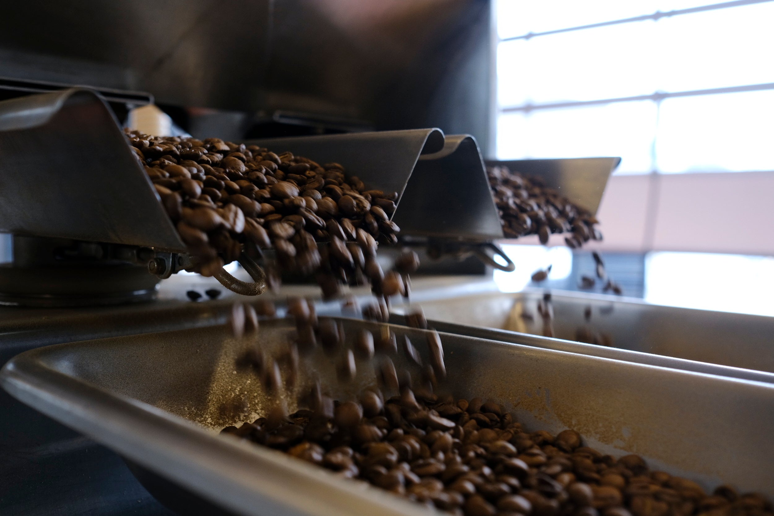 Hvad er Arabica bønner?