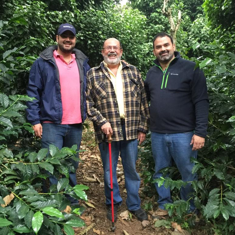 El Salvador kaffe: smagen, oprindelsen og vores bud på den perfekte kop