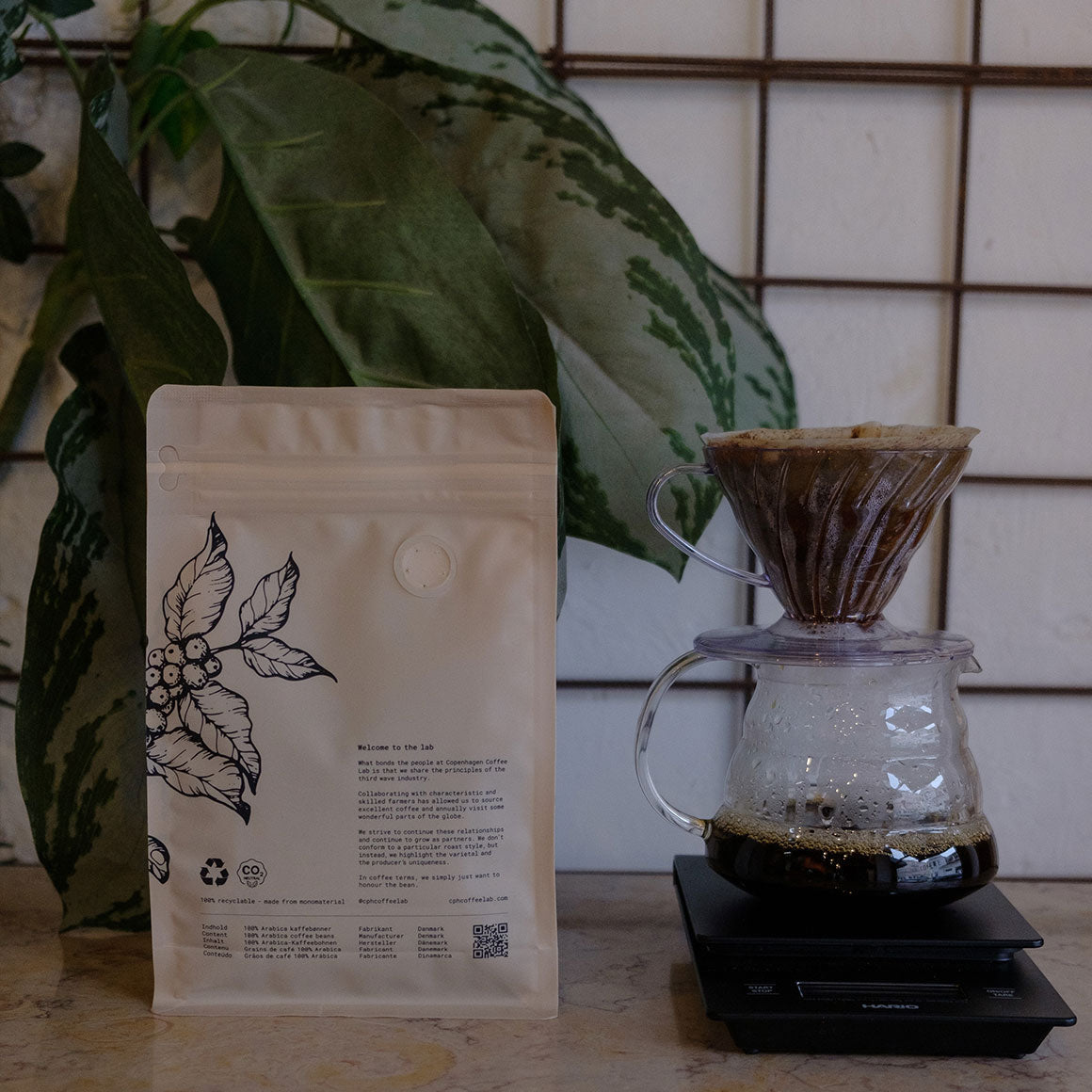 Sul de Minas Decaf – Brasilien