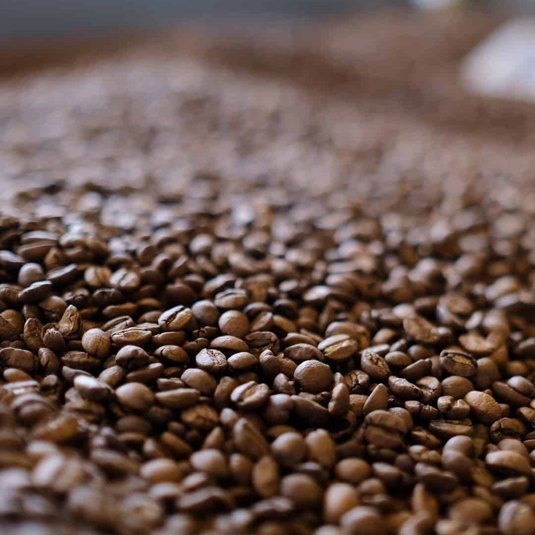 Proexo Espresso – Honduras