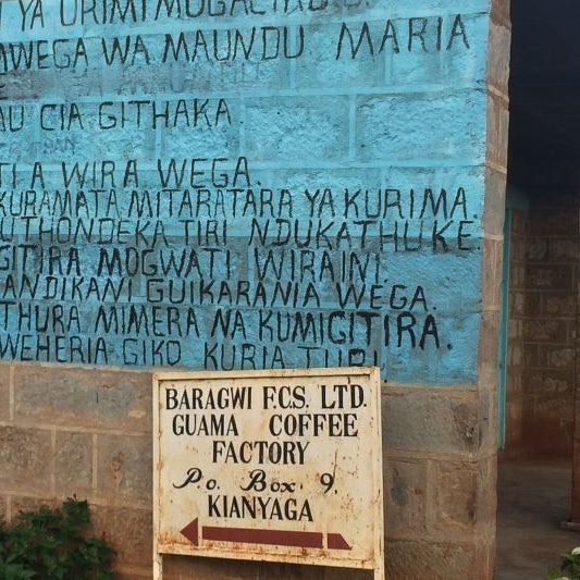 Baragwi – Kenya